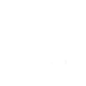 företagssalongen-första hjälpen centrum